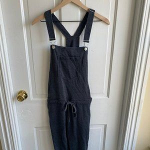 Z Supply Boutique soft grey overalls